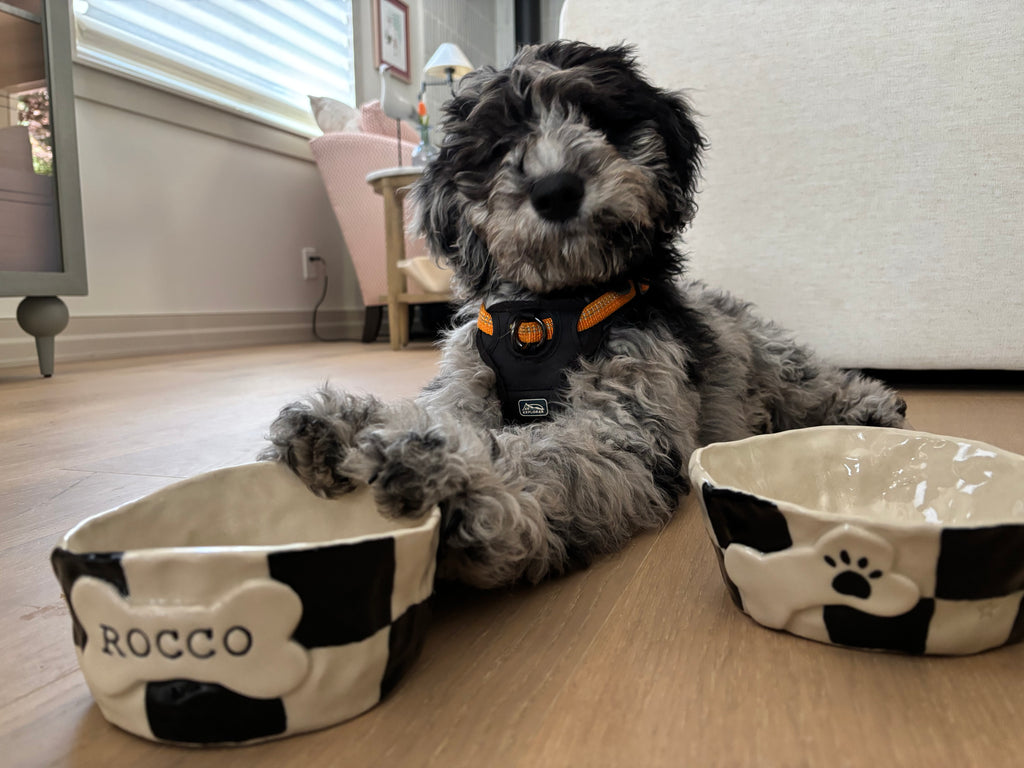 Medium Pet Bowl - Customised