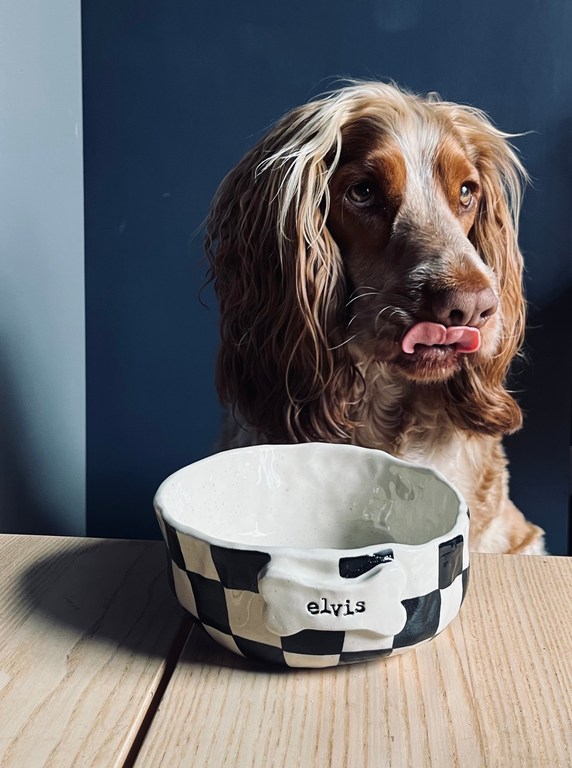 Medium Pet Bowl - Customised